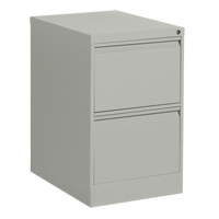 Vertical Filing Cabinet, Steel, 2 Drawers, 18-1/7" W x 25" D x 29" H, Grey Ontario Packaging