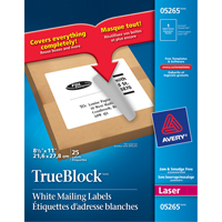 TrueBlock™ Laser Shipping Labels, 11" W x 8.5" L, White OT813 | Ontario Packaging