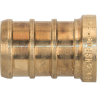 Capuchon de tuyau sans plomb, Tuyau, 1/2" dia., Laiton Ontario Packaging