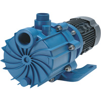 Self-Priming Magnetic Drive Pump with Carbon Bushing Ontario Packaging