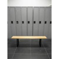 Locker Room Bench, Wood, 48" L x 9-1/4" W x 16-1/2" H RL871 | Ontario Packaging
