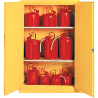 Insulated Flammable Liquid Safety Cabinets, 30 gal., 2 Door, 44" W x 45" H x 19" D SA087 | Ontario Packaging