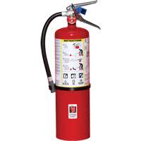 Fire Extinguisher, ABC, 10 lbs. Capacity SA443 | Ontario Packaging