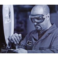 Lunettes de s&eacute;curit&eacute; &agrave; coques Uvex Flex Seal, Lentille 3,0, Antibu&eacute;e, Ventilation Indirecte Ontario Packaging