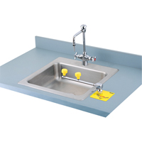 Poste de douche oculaire Swing-Away, Installation Montage sur comptoir Ontario Packaging