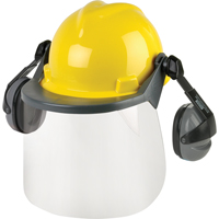 Face Protection