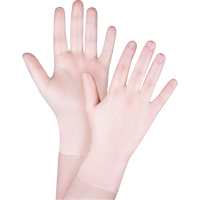 Disposable Gloves, Medium, Vinyl, 4.5-mil, Powder-Free, Clear, Class 2 SGX028 | Ontario Packaging