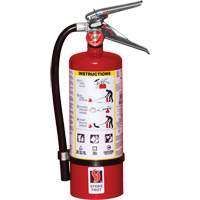 Fire Extinguisher, ABC, 5 lbs. Capacity Ontario Packaging