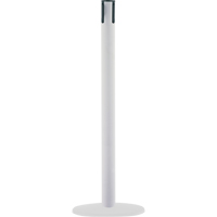 Marine Receiver Posts, 38" High, White Ontario Packaging