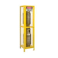 Gas Cylinder Cabinets, 2 Cylinder Capacity, 17" W x 17" D x 69" H, Yellow SEB838 | Ontario Packaging