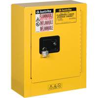 Sure-Grip&reg; EX Mini Flammable Safety Cabinet, 2 Gal., 1 Door, 17" W x 22" H x 8" D Ontario Packaging