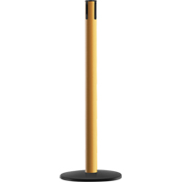 Advance TensaBarrier&reg; - Receiver Post, 36" High, Yellow Ontario Packaging