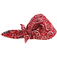 Chill-Its&reg; 6710CT Cooling Triangle Hats, Red Ontario Packaging