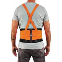 ProFlex 100HV Economy Spandex Hi-Vis Back Support Brace, Elastic, X-Small Ontario Packaging