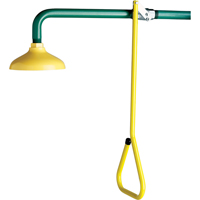 Lifesaver<sup>®</sup> Emergency Overhead Showers, Wall-Mount SF861 | Ontario Packaging
