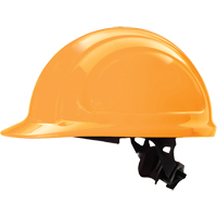 North Zone Hardhat, CSA Type 1, Ratchet Suspension Ontario Packaging