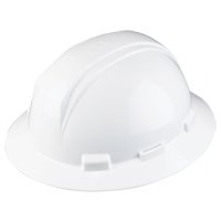 Dynamic Kilimanjaro Hardhat, Pinlock Suspension, ANSI Type I/CSA Type 1 Ontario Packaging