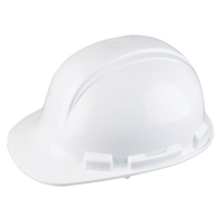 Dynamic Whistler Hardhat, CSA Type 1, Ratchet Suspension Ontario Packaging