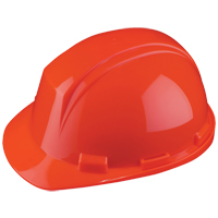 Casque Mont-Blanc de North, R&eacute;pond aux normes CSA type 2, Suspension Rochet, Non ventil&eacute; Ontario Packaging