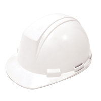 Dynamic Mont-Blanc Hardhat, ANSI Type II/CSA Type 2, Pinlock Suspension Ontario Packaging