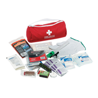 Dynamic Car First Aid Kit, Class 1 Medical Device, Nylon Bag Ontario Packaging