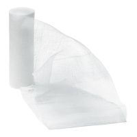 Dynamic Gauze Bandage, Roll, 30' L x 4" W, Medical Device Class 1 Ontario Packaging