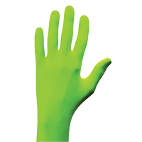 N-Dex&reg; Gloves, Small, Nitrile, 5-mil, Powder-Free, Green Ontario Packaging