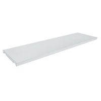 Additional Shelf for Drum Cabinet SGC865 | Ontario Packaging