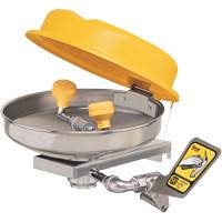 Eyewash Station, Wall-Mount Installation, Stainless Steel Bowl Ontario Packaging