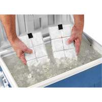 Sachets pour veste de refroidissement &agrave; changement de phase 6260 Chill-Its Ontario Packaging