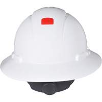 Hard Hats