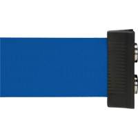 Wall Mount Barrier with Magnetic Tape, Steel, Screw Mount, 7', Blue Tape Ontario Packaging