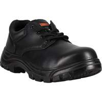 Warrior Work Shoes, Size 7, Steel Toe, Puncture Resistant Sole, Leather Ontario Packaging