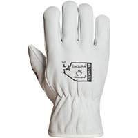 Endura&reg; Winter-Lined Driver Gloves, X-Large, Grain Goatskin Palm, Thinsulate Inner Lining Ontario Packaging
