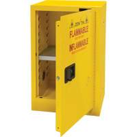 Flammable Storage Cabinet, 12 gal., 1 Door, 23" W x 35" H x 18" D Ontario Packaging