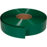 Ruban de marquage tr&egrave;s r&eacute;sistant pour plancher ArmorStripe, 2" x 100', PVC, Vert Ontario Packaging