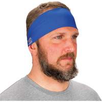 Chill-Its 6634 Cooling Headband, Blue SHB409 | Ontario Packaging