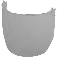 Face Shield Replacement Lenses, Polycarbonate, Grey/Smoke Tint Ontario Packaging