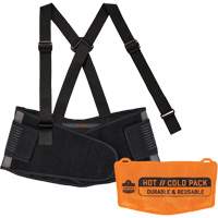 Proflex 1675 Back Support Brace with Cooling/Warming Pack, Spandex, Small SHJ463 | Ontario Packaging