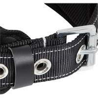 WB-6010-S Safety Restraint 1 D-Ring Belt with Padded Lumbar Support - Small Ontario Packaging