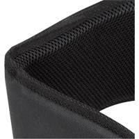 WB-6006 Padded Lumbar Support for Belt - Universal Ontario Packaging