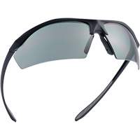 Sentinel Ballistic Protection Safety Glasses, Smoke Lens, Anti-Fog/Anti-Scratch/Polarized, ANSI Z87+ Ontario Packaging