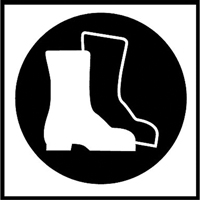 &eacute;tiquettes avec pictogramme Right to Know - Bottes, Vinyle, Feuille, 5/8" lo x 3/4" la Ontario Packaging