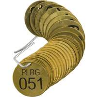Numbered "PLPG" Valve Tags, # 051-075, Brass, 1.5" dia Ontario Packaging