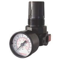 Mini Regulators, 1/4" NPT, 165 PSI Max. PSI, Modular Ontario Packaging