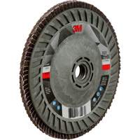 769F Quick Change Flap Disc, 5" x 5/8"-11, Type 29, 120+ Grit, Ceramic Ontario Packaging