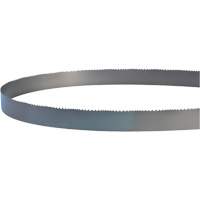 Welded Bandsaw Blade, Bi-Metal, 14' L x 1" W x 4 - 6 TPI Ontario Packaging