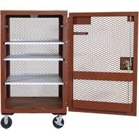 Mobile Mesh Cabinet, Steel, 22 Cubic Feet, Red TEQ807 | Ontario Packaging