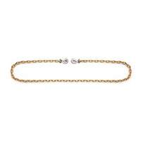Binder Chain with Clevis Grab Hooks Ontario Packaging