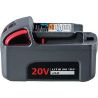 IQV20 High Capacity Battery, Lithium-Ion, 20 V, 5 Ah Ontario Packaging
